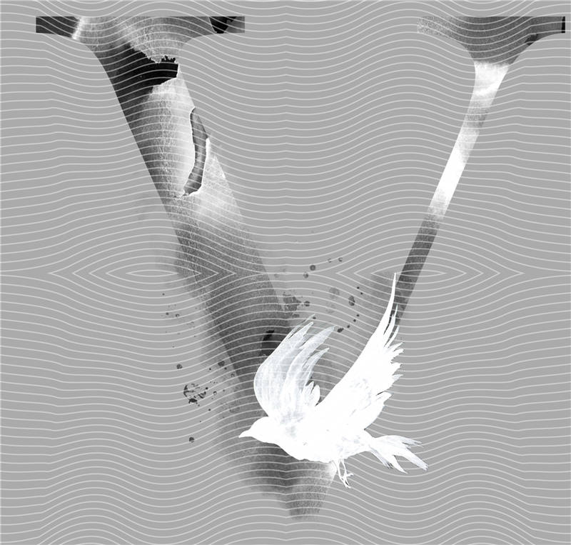 latest edition-KNY 162